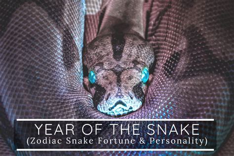 As the chief suspect in unsolved murders of young western travellers the serpent >> ((2021)) series > 1 episode ~ 1 ((full eps)). Year of the Snake » Meaning, Personality & Prediction in 2021