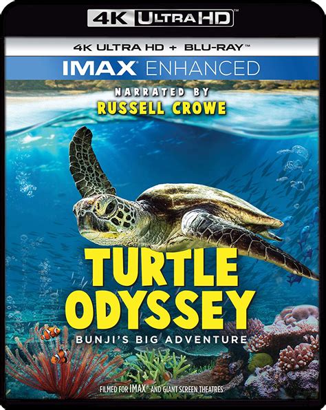 Chaldea heat odyssey ~evolving civilization~. Turtle Odyssey 4K Ultra HD Blu-ray/Blu-ray - Best Buy