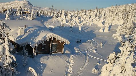 Hd Wallpaper Snow Covered Cabin Wood Snowdrifts Tree Attire House