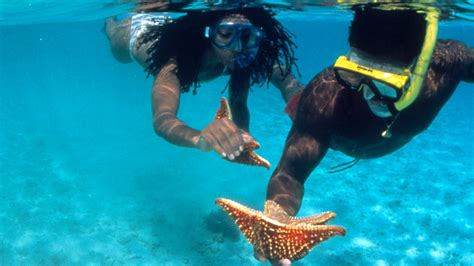Best Snorkeling Spots In The Caribbean