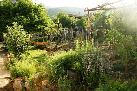 How To Design And Build A Forest Garden