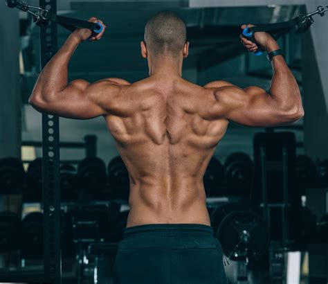 Back Muscle Names Gym The Names Of The Muscles In The Back And Front