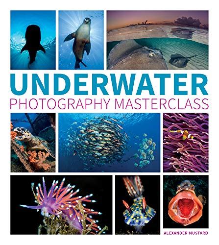 Top 20 Best Underwater Photography Book Reviews And Buying Guide Bnb