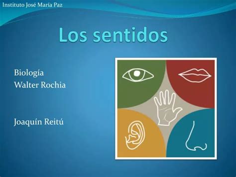 Ppt Los Sentidos Powerpoint Presentation Free Download Id4866774