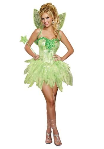 Adult Fairy Costumes Fairy Halloween Costume