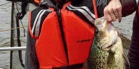 Pennsylvania State Record Black Crappie Caught Outdoor Enthusiast