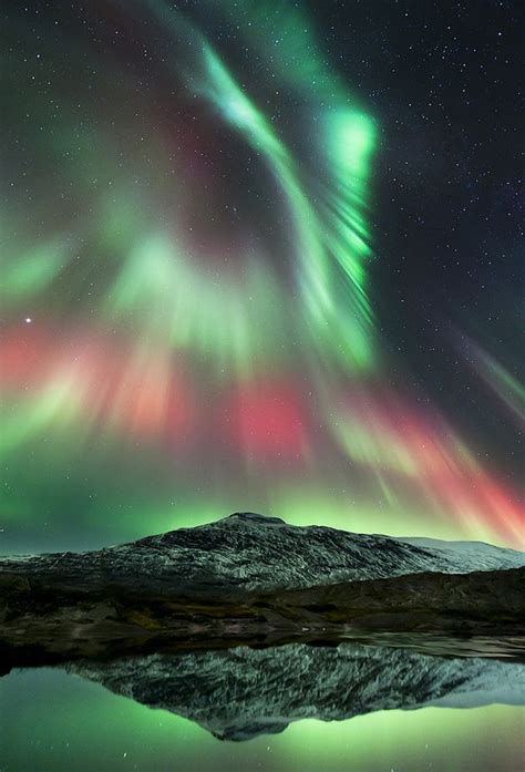 Northern Lights Stunning Pictures Of Light Spectacular Above The Essex