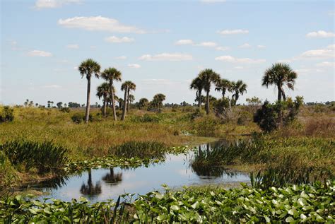 We stayed at kissimmee prairie preserve state park for 2 days. Florida's purchase of 10 environmental treasures changed ...