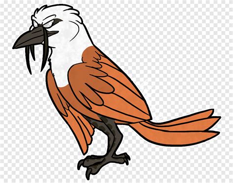 Download now parrots clipart gambar kartun burung beo png download. Gambar Kartun Burung Murai Batu
