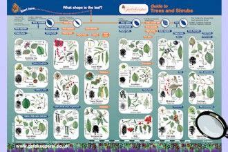 Plant Identification Guides 3 British Tree Leaf Identification Keys