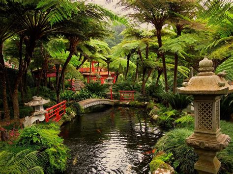 Japan Garden Pond Hd Wallpapers Desktop And Mobile Images And Photos