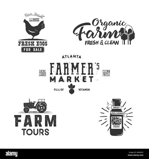 Farmers Market Organic Food Logo Eco Badges Set Fresh And Local