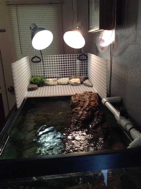 10gallon diy turtle basking tank sitting on top of my. My turtle basking area | Turtle tank, Turtle aquarium ...