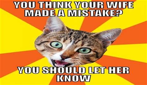 This Cat Just Loves Giving Bad Advice 15 Photos Funny Cat Memes Cats