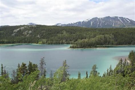 Dyea Dave Tours Skagway Lo Que Se Debe Saber Antes De Viajar