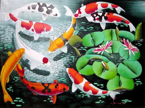Japanese Koi Fish Wallpapers Top Những Hình Ảnh Đẹp