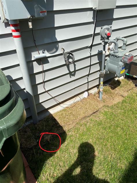 Electrical What Can I Do About These Exposed Grounding Rods Home
