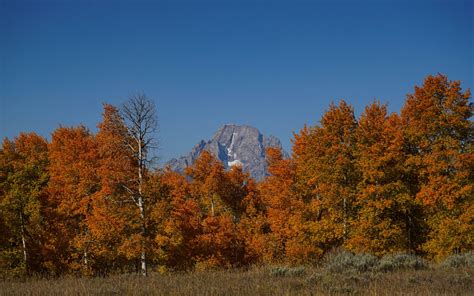 Download Wallpaper 3840x2400 Mountain Trees Autumn Landscape 4k