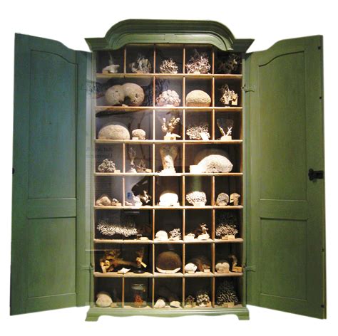 From crocodiles, minerals, and corals to paintings, ivory trophies, measuring instruments, and. Cabinet Curiosity