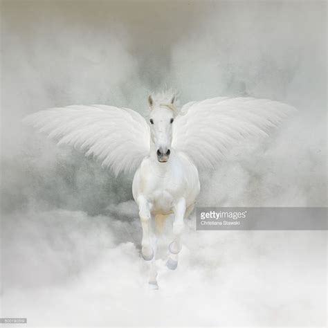 Mythical Pegasus A Winged White Horse Flying Through The Clouds