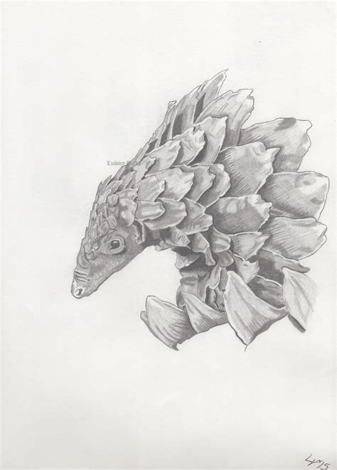 Color in a western lowland gorilla and be part the troop! Pangolin. : drawing
