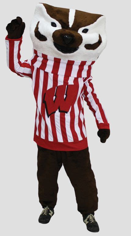 Uw Madison Bucky Badger Mascot School Mascot Mascot Costumes