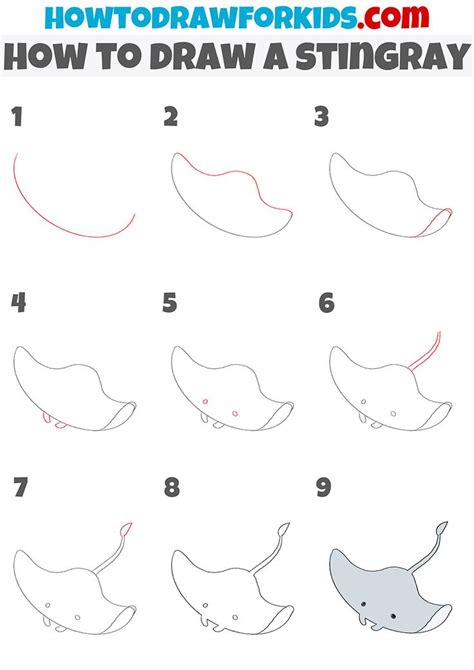How To Draw A Stingray Step By Step Easy Drawings For Beginners Easy
