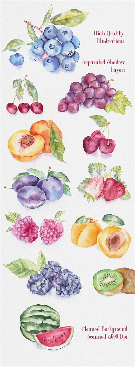 Watercolor Paintings Of Fruits