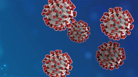 It was first identified in december 2019 in wuhan,. Coronavirus tracker: How many coronavirus cases are in ...