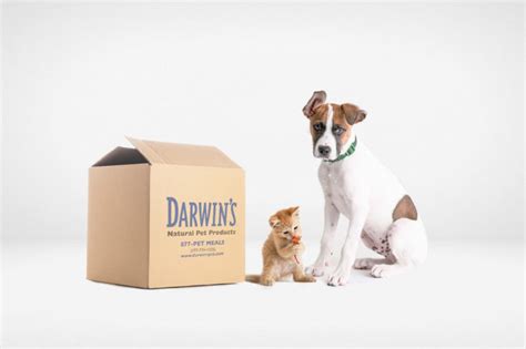 Darwins Pet Food Processing