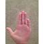 Heres What The Size Of Your Pinky Finger Reveals About 