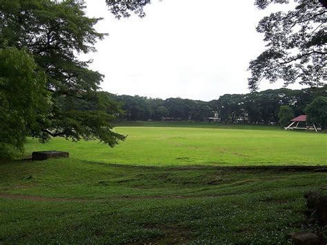 File:UP Diliman Sunken Garden.jpg - Wikimedia Commons