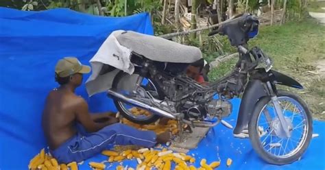 Namun bila tidak dipertahankan, produksi kopi. Inovasi Unik Petani Indonesia Dalam Keterbatasan ...