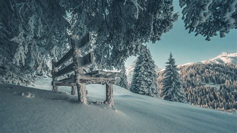 Snow Covered Wooden Bench And Trees In Snow Field 4k 8k Hd Winter