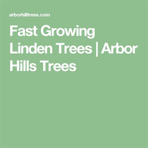Fast Growing Linden Trees Arbor Hills Trees Poplar Tree Linden