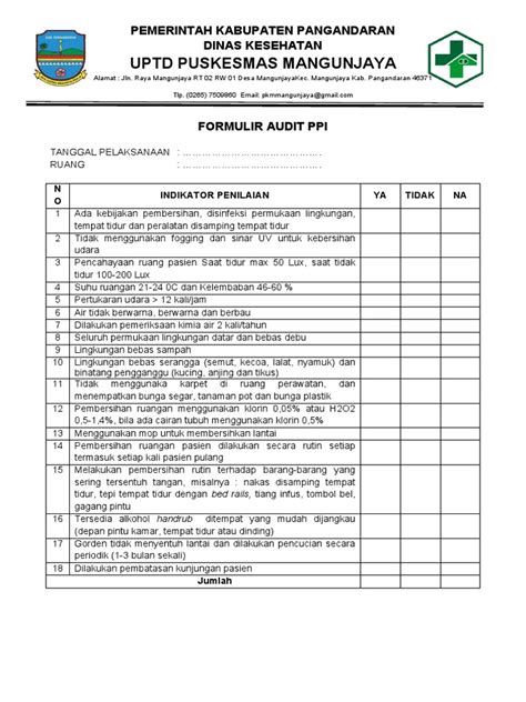 Form Audit Ppi Pdf
