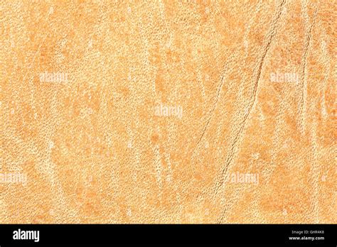 Natural Brown Leather Texture Extremely Macro Stock Photo Alamy