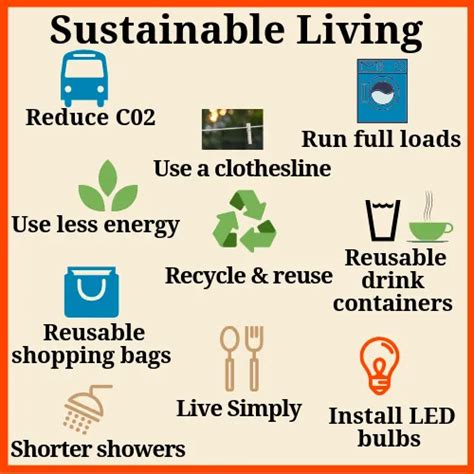 Embracing Sustainability Simple Steps For A Greener Daily Life And