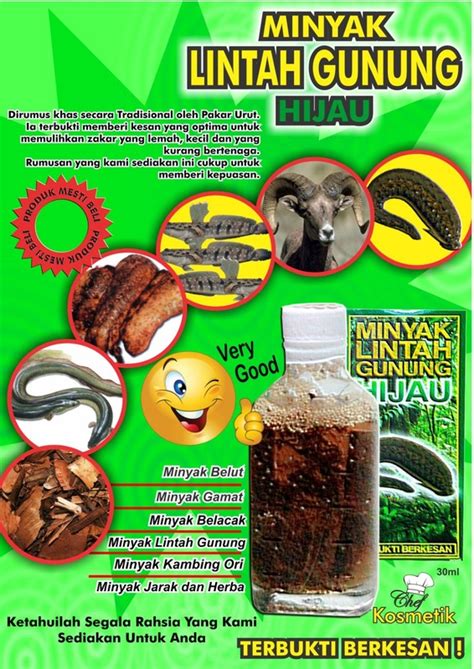 Khasiat minyak lintah gunung belacak. TESTIMONI - minyak lintah gunung hijau