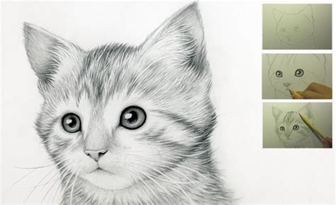 Disegni facili per bambini, come disegnare una rosa in modo facile. Come disegnare un gatto! Guida facile Step by Step! VIDEO