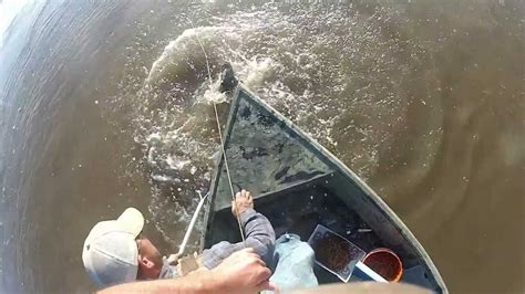 If you choose to make your own trotline you must know how to tie good knots and have a lot of patience. Trotlines on the Mississippi River - YouTube