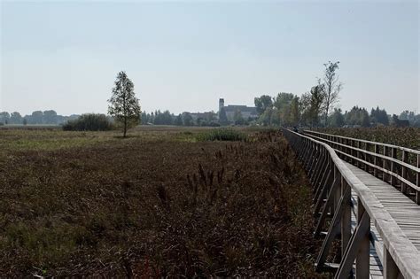 Der federsee bei bad buchau an der riß in oberschwaben, ist mit 33 km das größte zusammenhängende moorgebiet südwestdeutschlands. Oberschwaben: Federsee