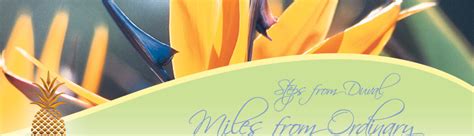 The centre of key west is reachable within 20 minutes' walk. Key West Bed and Breakfast, Duval Inn Guesthouse and B&B ...