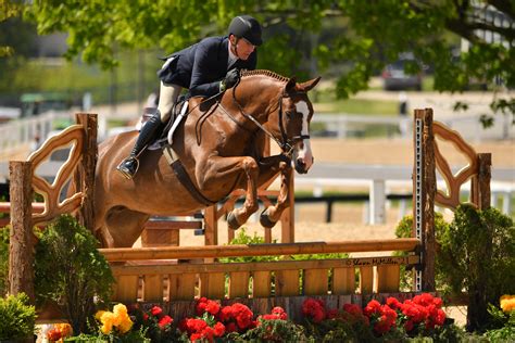 Scott Stewart And Christopher Payne Tie For Grand Hunter Champion At