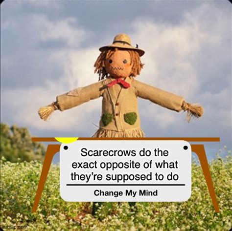 Scarecrows Attract Crows Imgflip