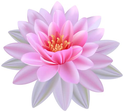 Pale Pink Water Lily Clipart Water Lily Clipart Light Pink Png And