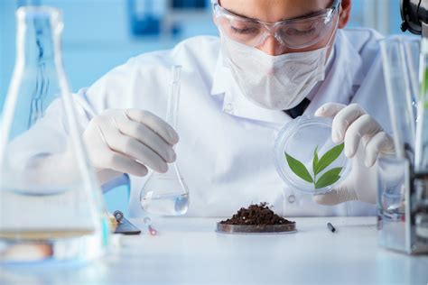 Can Soil Testing Labs Meet Growth In Organic Farming Industry