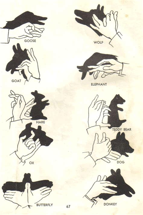 Manual Of Hand Shadow Puppetry Neatorama