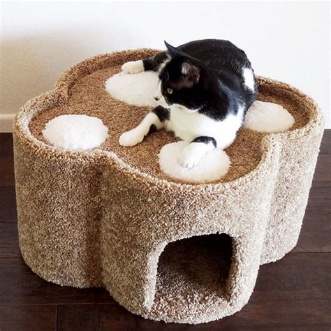 Look At This Zulily Debut New Cat Condos On Zulily Today Cat