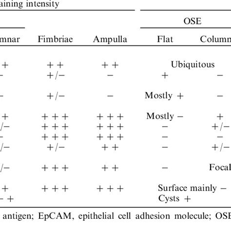 Staining Intensity And Distribution Of Immunohistochemical Markers In
